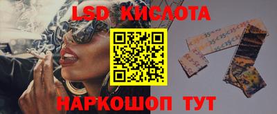 гашик Канаш