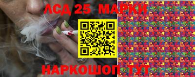 гашик Канаш