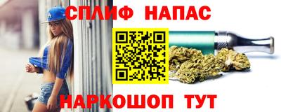 гашик Канаш